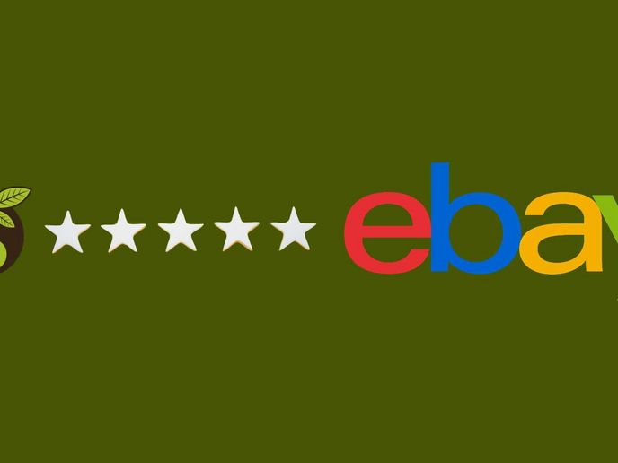 eBay Bewertung BGH