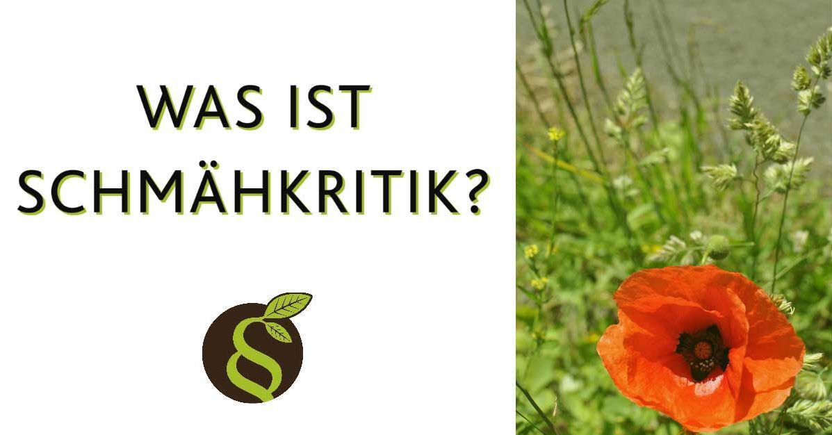 Was Ist Schmähkritik?